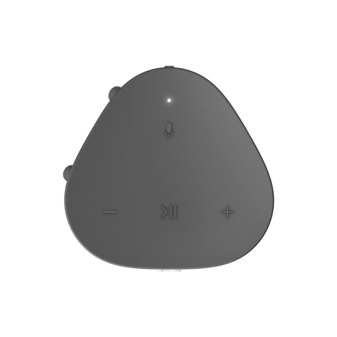 Sonos Roam - A Portable Waterproof Wireless Speaker