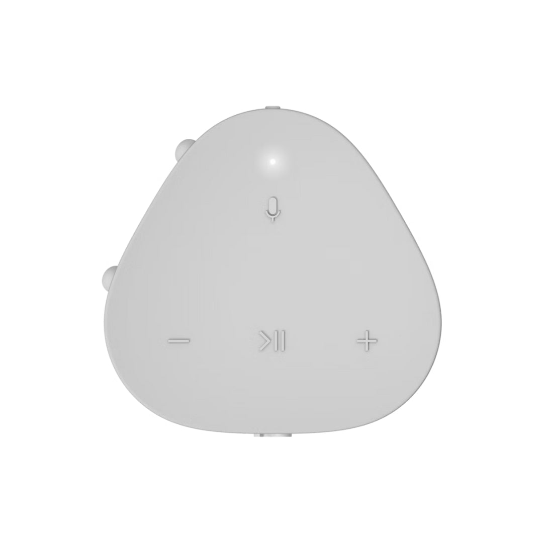 Sonos Roam - A Portable Waterproof Wireless Speaker