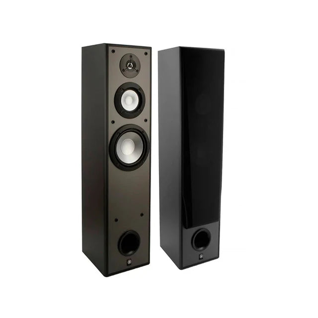 Floor Standing Speakers