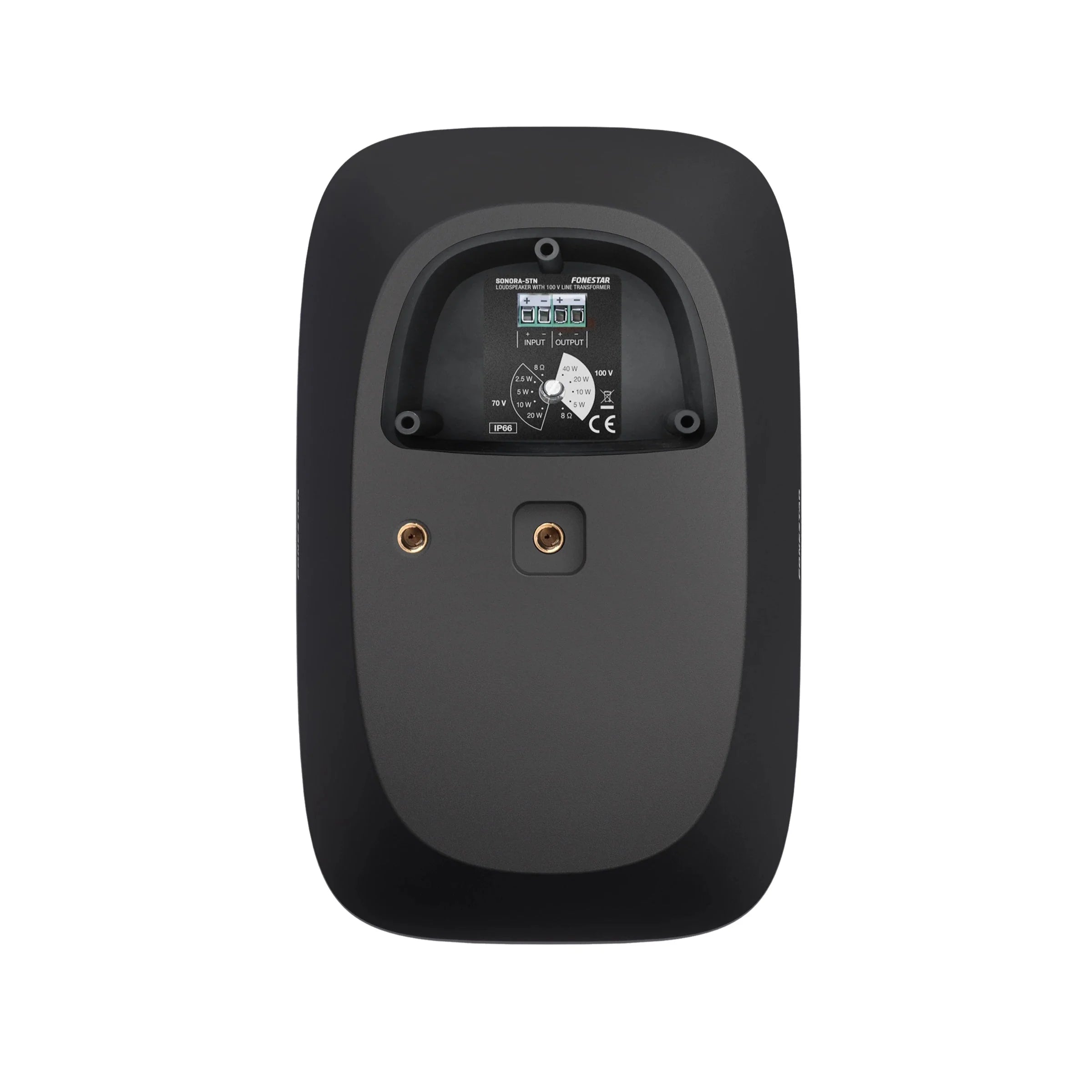 Black outdoor speaker