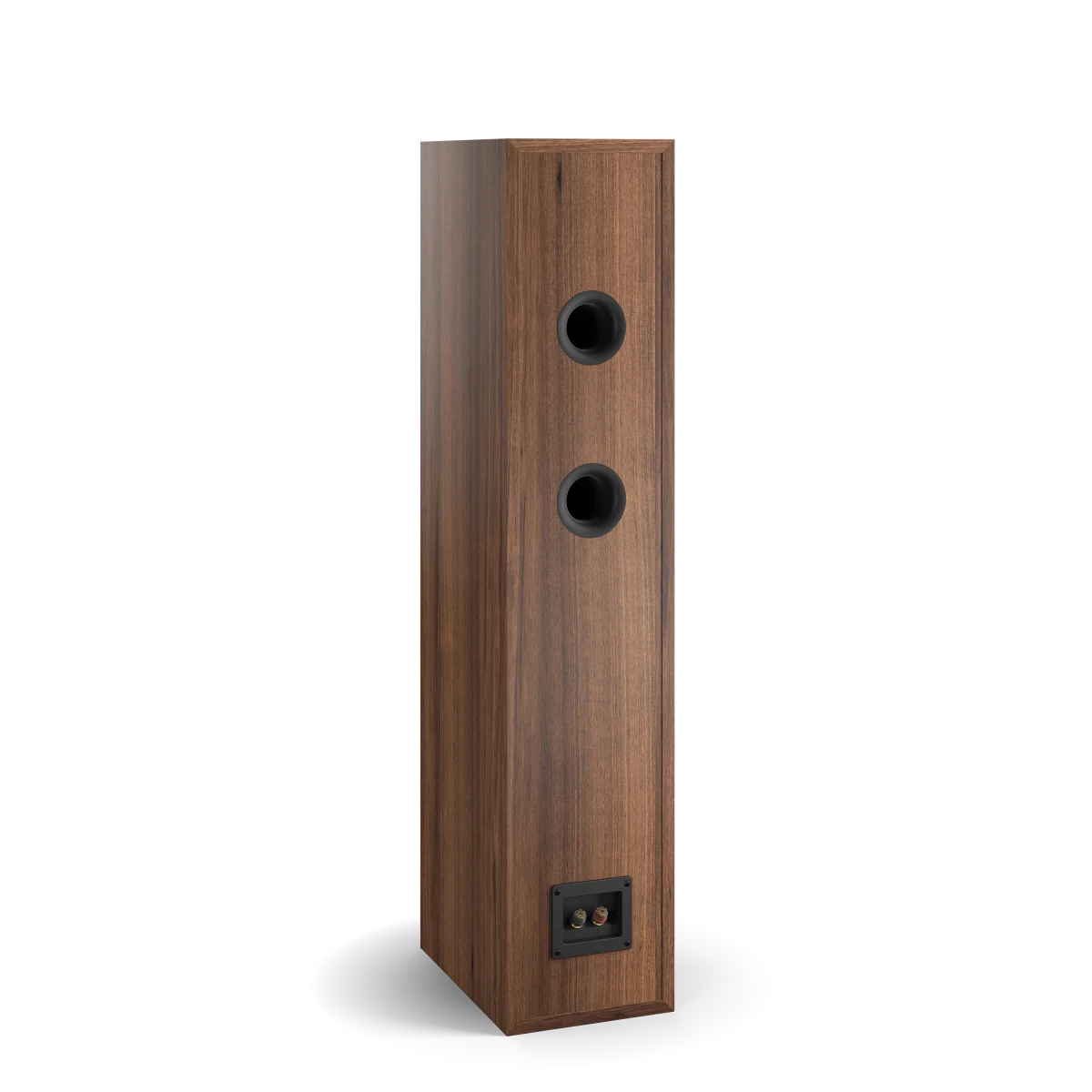 Dali Spektor 6 - Floor Standing Speaker (Pair)